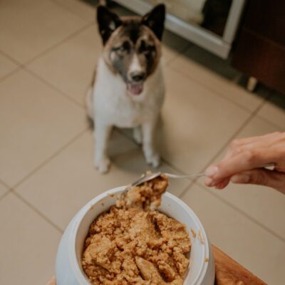 Stainless Steel Double Pet Bowl with Stand